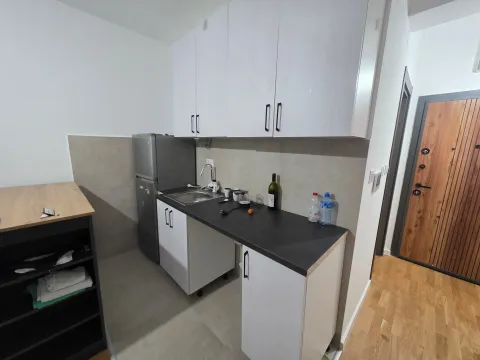 Rent, studio apartment, 30m², Zagorič, Podgorica - image 11