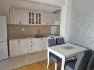 Izdavanje, jednosoban stan, 64m², Zabjelo, Podgorica - image 2