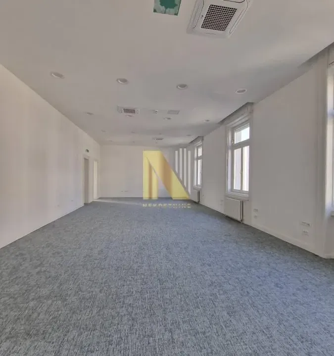 Izdavanje, poslovni prostor, 430m², Centar, Novi Sad