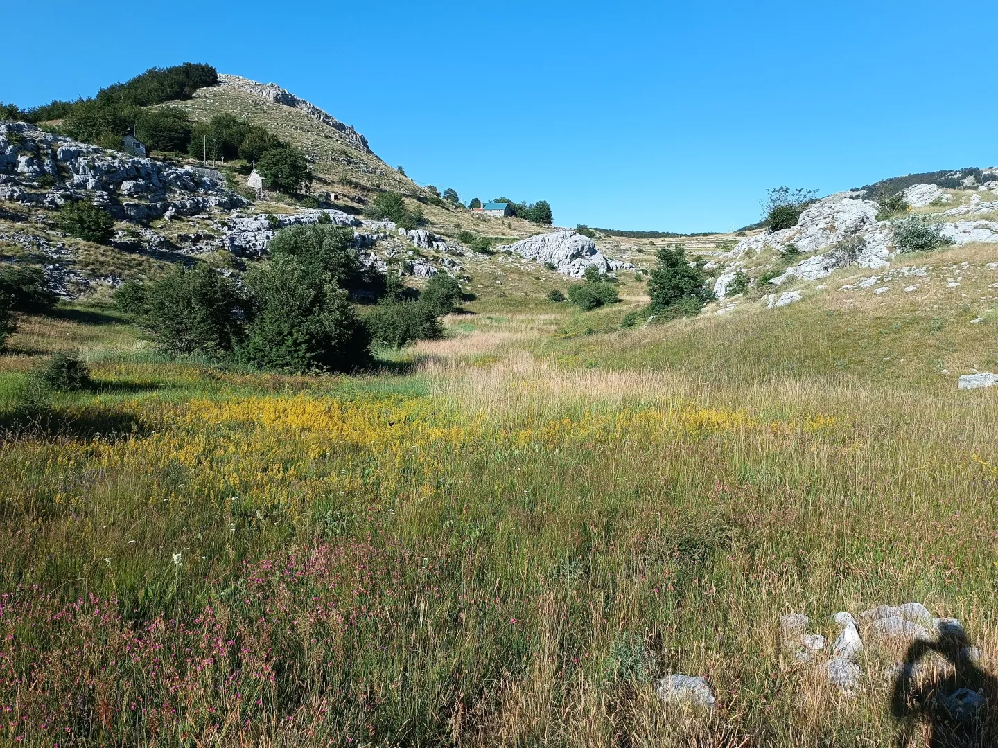 Prodaja, plac, 9000m², Ivanova Korita, Cetinje