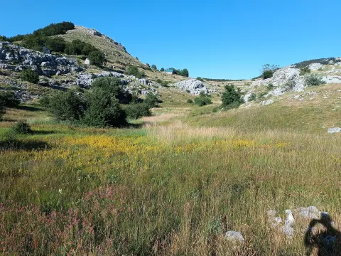 Prodaja, plac, 9000m², Ivanova Korita, Cetinje - image 5