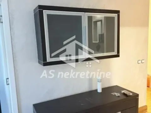 Izdavanje, dvosoban stan, 70m², Savski Venac, Beograd - image 10