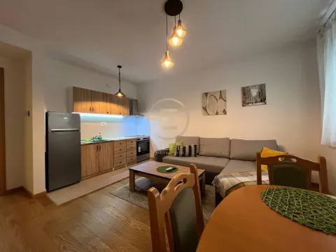 Izdavanje, dvosoban stan, 39m², Rotkvarija, Novi Sad Sve Podlokacije - image 2