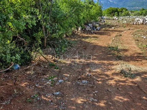 Zemljište sa zelenilom i drvećem pripremno za uređenje. - image 5