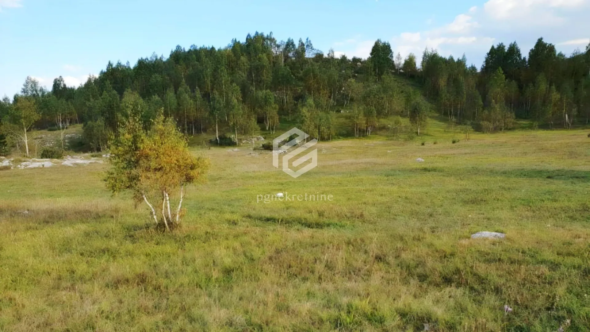 Sale, apartment, 91611m², Žabljak, Crna Gora