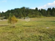 Sale, apartment, 91611m², Žabljak, Crna Gora - image 1