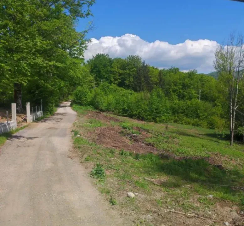 Sale, land lot, 940m², Crkvine, Kolašin