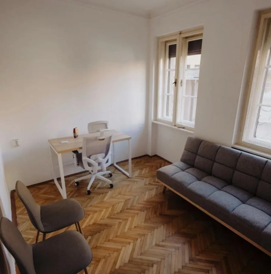 Izdavanje, stan, 220m², Centar, Novi Sad