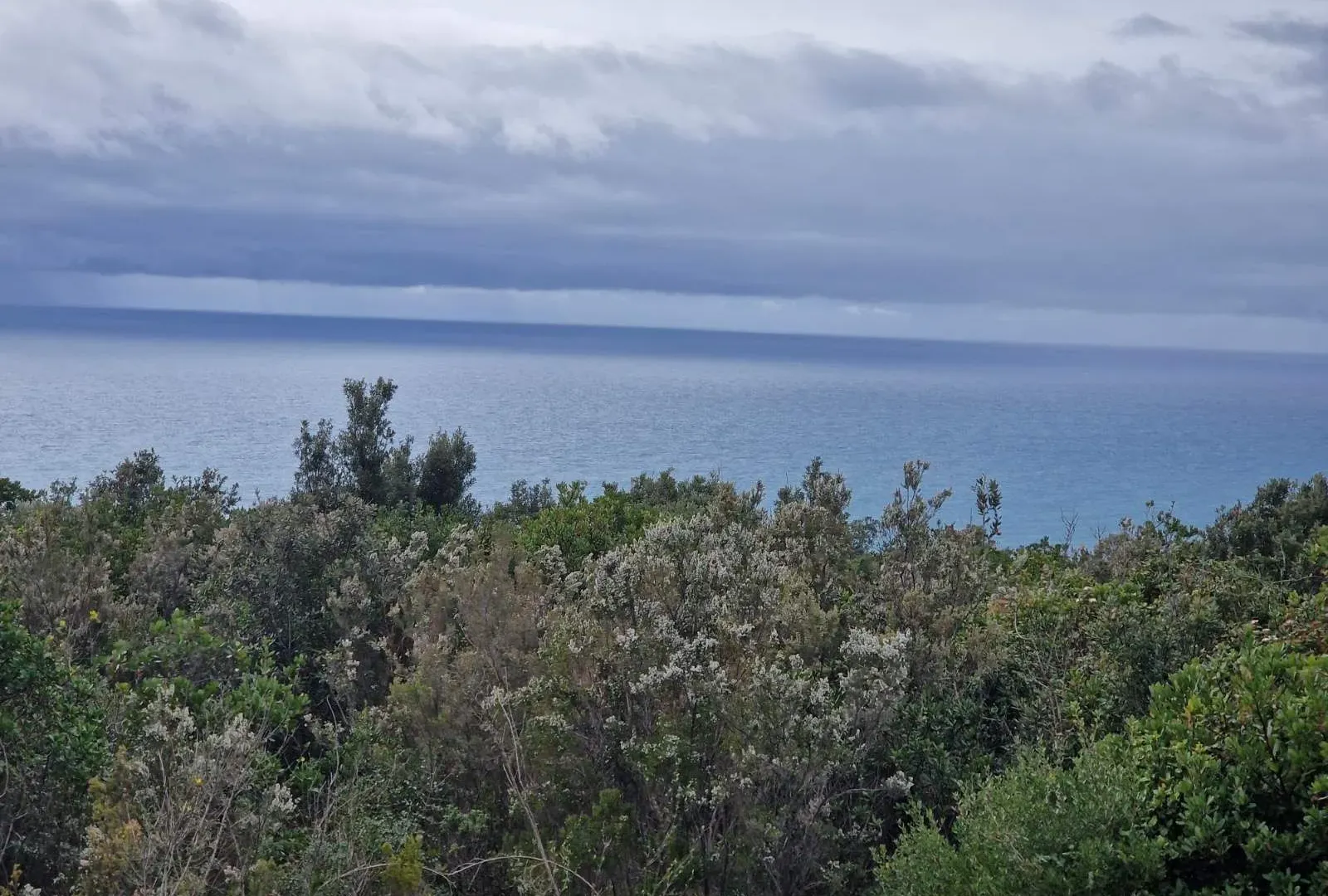 Prodaja, plac, 5000m², Zagora, Kotor