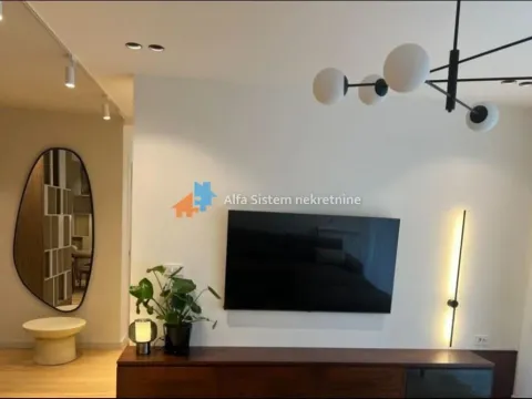 Izdavanje, četvorosoban stan, 112m², Stari Grad, Beograd - image 7