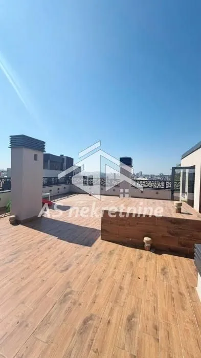 Rent, four bedroom apartment, 275m², Vračar Hram, Vračar Sve Podlokacije