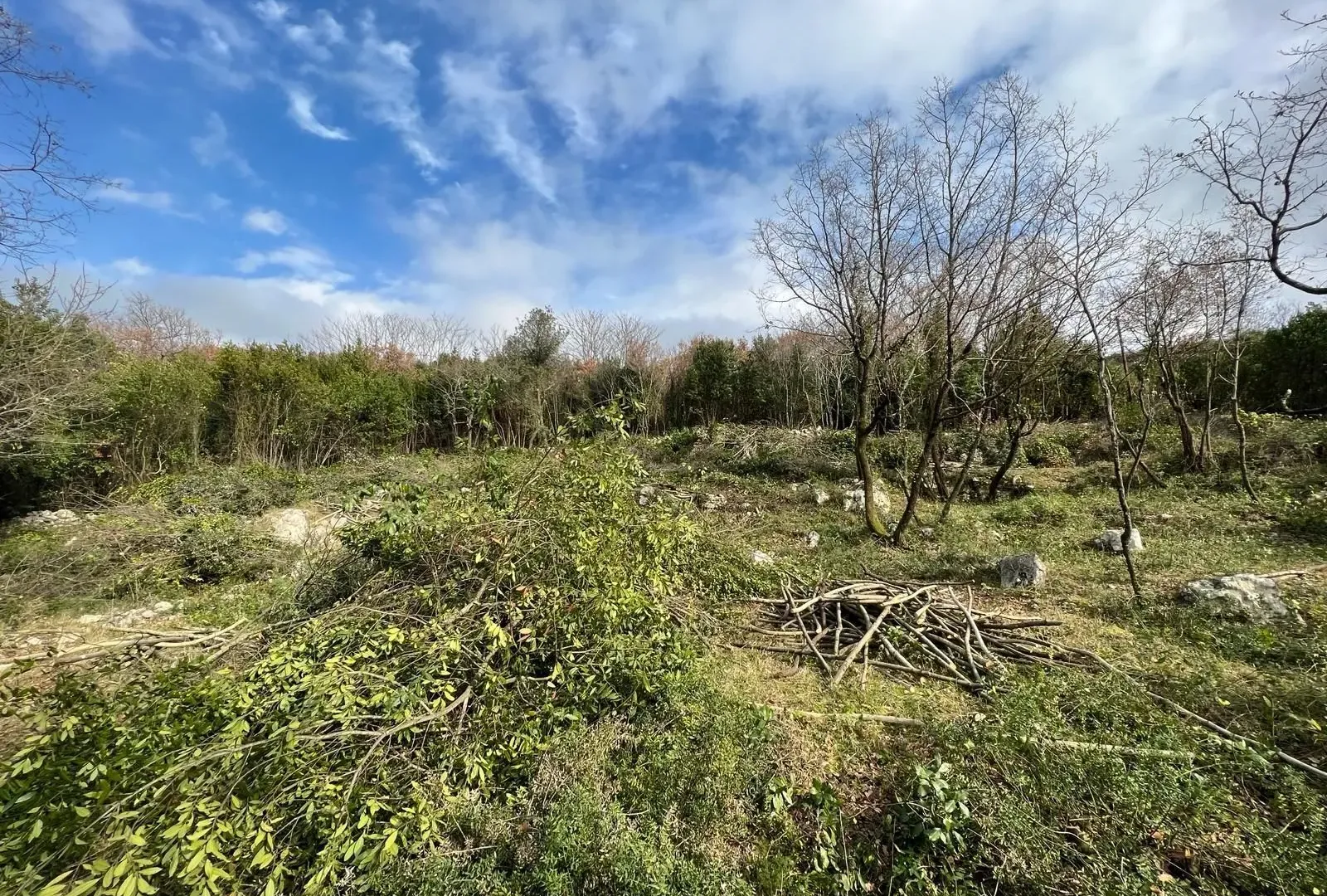 Prodaja, plac, 2488m², Krimovica, Kotor