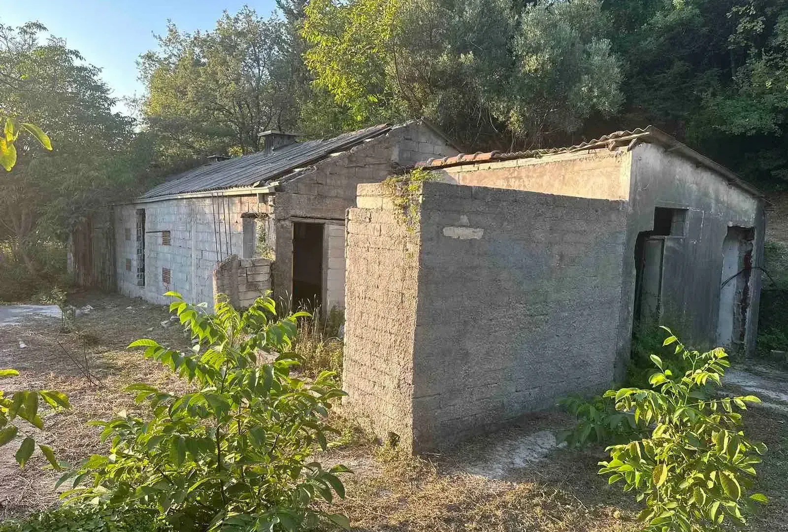Prodaja, plac, 3000m², Kotor, Crna Gora