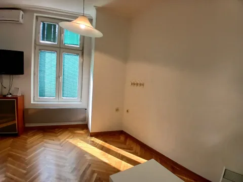 Izdavanje, jednosoban stan, 25m², Stari Grad, Beograd - image 11