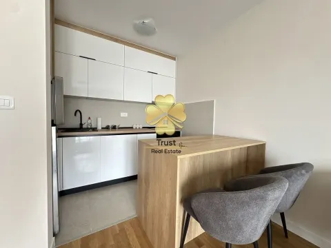 Izdavanje, jednosoban stan, 43m², Pobrežje, Podgorica - image 4