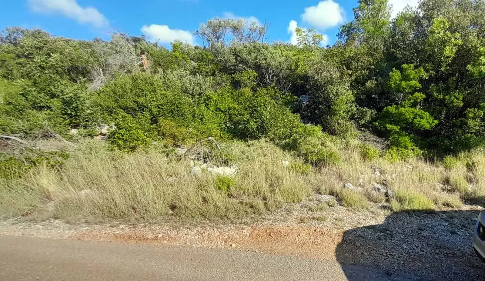 Prodaja, plac, 2331m², Herceg Novi, Crna Gora