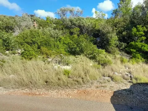 Prodaja, plac, 2331m², Herceg Novi, Crna Gora - image 2