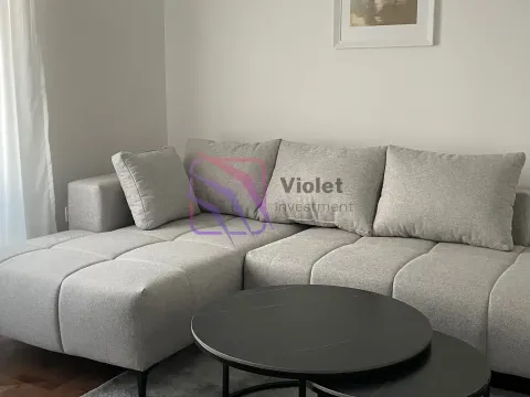 Izdavanje, jednosoban stan, 39m², Central Point, Podgorica - image 4