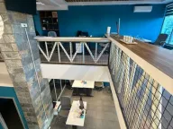 Izdavanje, poslovni prostor, 245m², Krivi Most, Podgorica - image 5