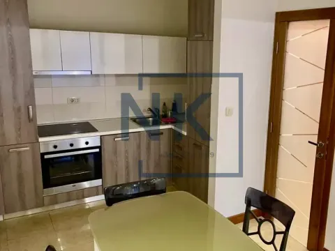 Izdavanje, jednosoban stan, 58m², Centar, Podgorica - image 2