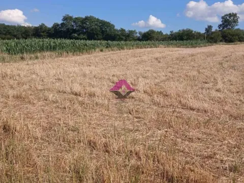 Prodaja, plac, 17100m², Dučina, Sopot - image 3