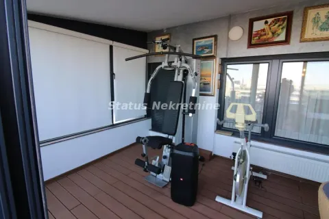 Enclosed terrace with exercise equipment. - image 18