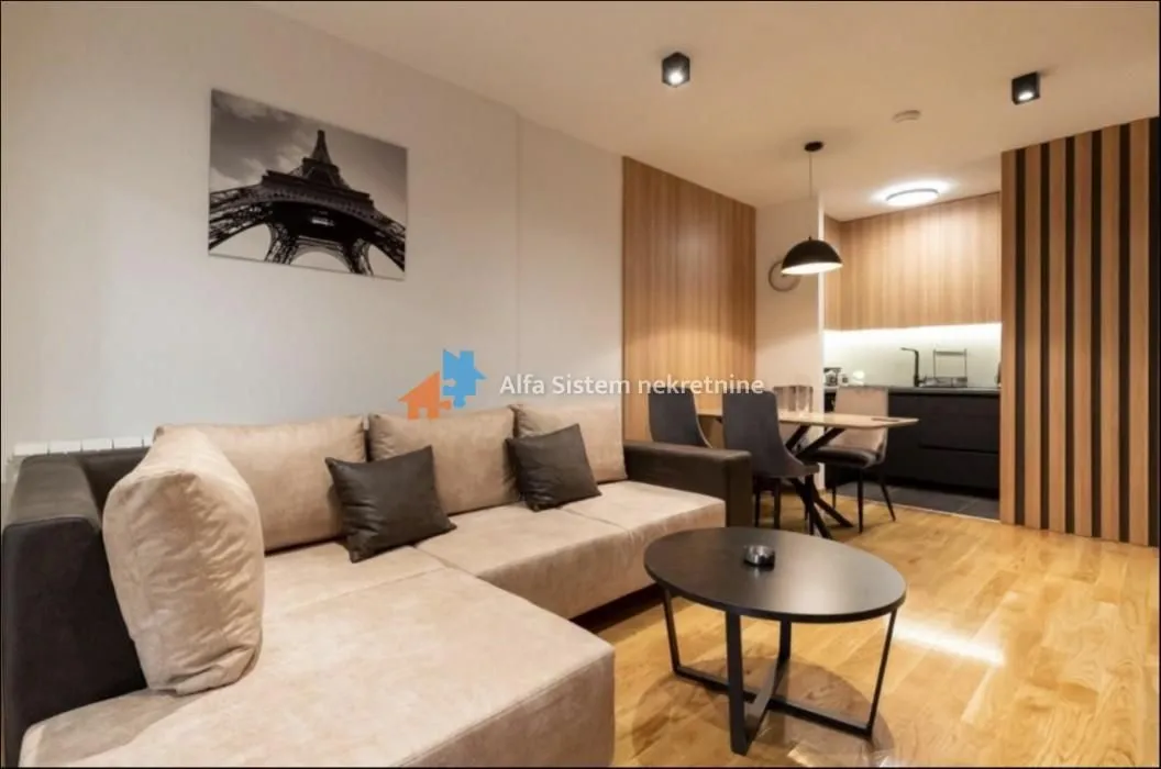 Izdavanje, dvosoban stan, 55m², Vračar Sve Podlokacije, Beograd
