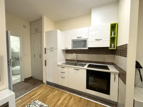 Rent, one bedroom apartment, 38m², Zabjelo, Podgorica - image 4