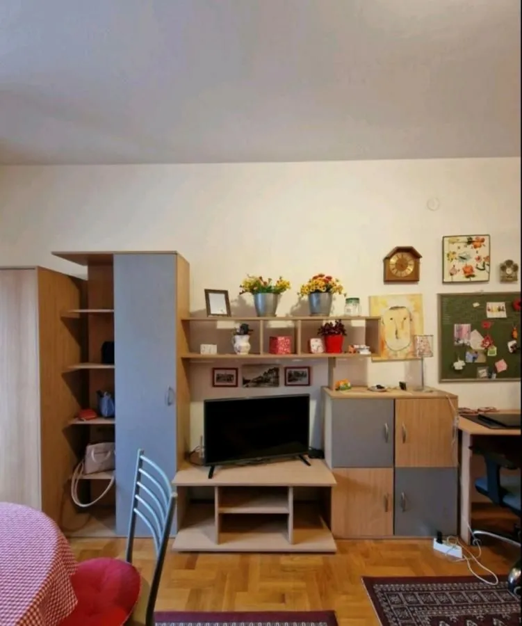 Izdavanje, jednosoban stan, 30m², Centar, Novi Sad