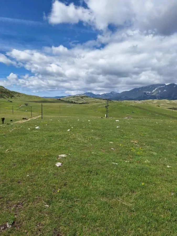 Prodaja, plac, 6300m², Borje, Žabljak