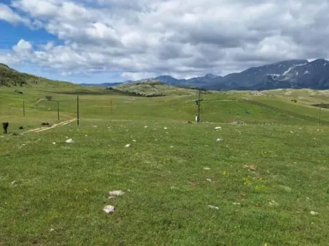 Sale, land lot, 6300m², Borje, Žabljak - image 3