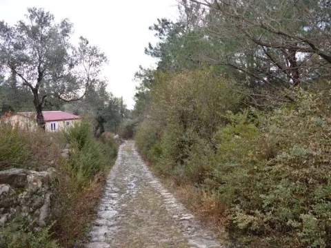 Sale, land lot, 9328m², Mojdež, Herceg Novi - image 10