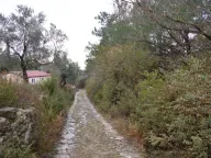 Sale, land lot, 9328m², Mojdež, Herceg Novi - image 10