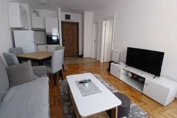 Izdavanje, jednosoban stan, 36m², Cvetanova Ćuprija, Zvezdara Sve Podlokacije - image 4