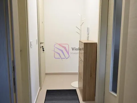 Rent, one bedroom apartment, 50m², Zagorič, Podgorica - image 2