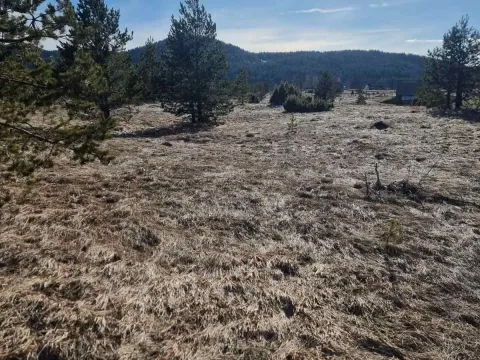 Prodaja, plac, 2200m², Žabljak, Crna Gora - image 3