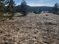 Sale, land lot, 2200m², Žabljak, Crna Gora - image 3