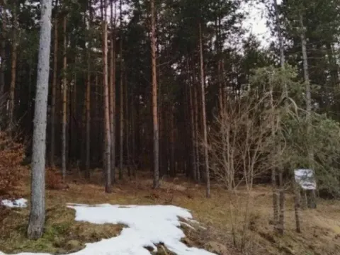 Sale, land lot, 1143m², Zlatibor, Srbija - image 10