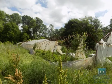 Sale, land lot, 2800m², Šavac, Paraćin - image 9