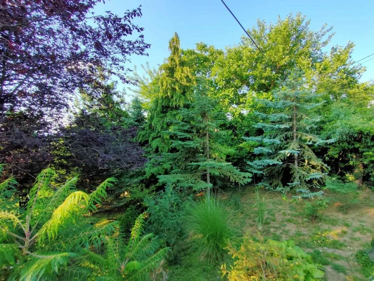 Prodaja, kuća, 81m², Sremska Kamenica, Petrovaradin