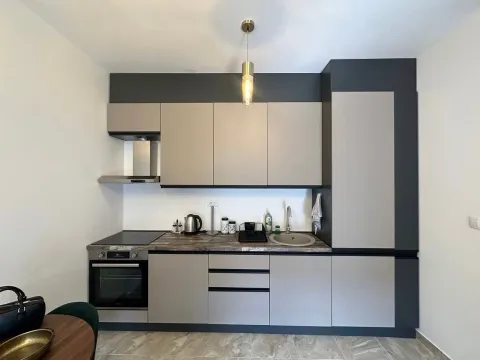 Rent, one bedroom apartment, 45m², Zabjelo, Podgorica - image 4