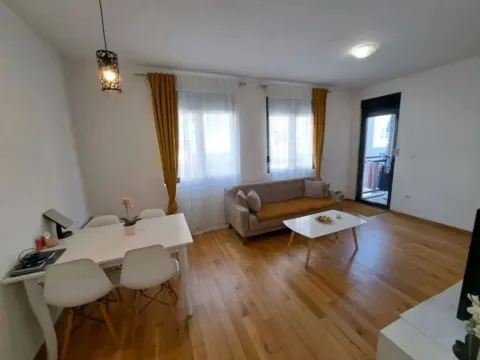 Rent, one bedroom apartment, 45m², Nova Dalmatinska, Podgorica - image 3