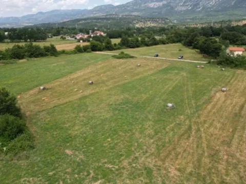 Prodaja, plac, 3157m², Donji Martinići, Danilovgrad - image 5