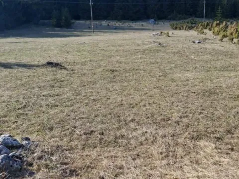 Prodaja, plac, 7800m², Žabljak, Crna Gora - image 5