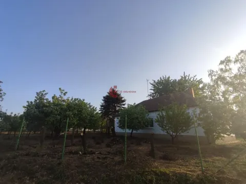 Prodaja, kuća, 153m², Šupljak, Subotica - image 3