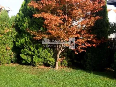 Izdavanje, kuća, 160m², Altina, Beograd - image 2