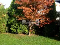 Izdavanje, kuća, 160m², Altina, Beograd - image 2