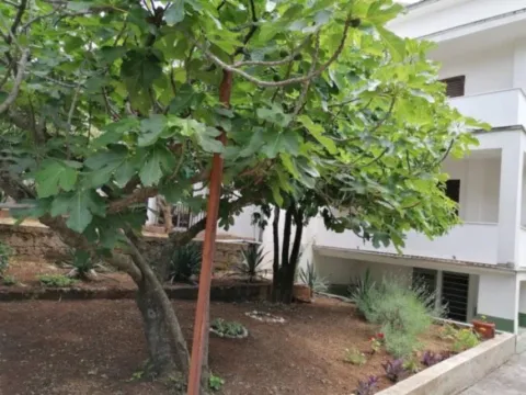 Sale, house, 196m², Utjeha, Bar - image 3