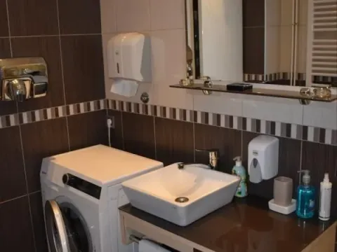 Izdavanje, kuća, 250m², Petrovaradin, Novi Sad - image 14