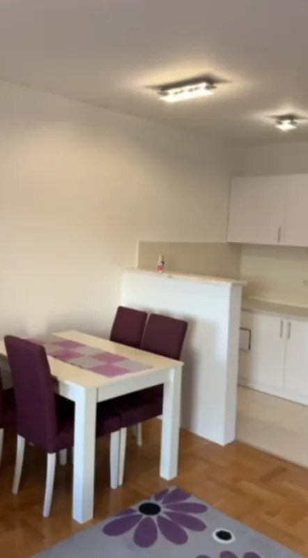 Rent, one bedroom apartment, 45m², Konik, Podgorica